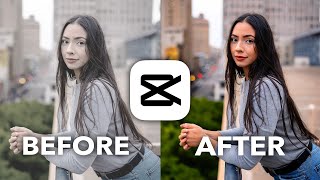 CapCut Color Grading 101 Tutorial [upl. by Ralaigh155]