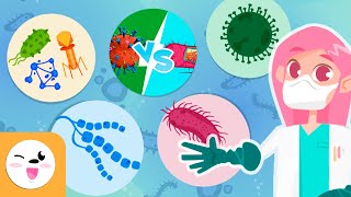 Microorganisms  Compilation Video  Bacteria Viruses and Fungi  Explanation for Kids [upl. by Giuseppe]