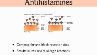 Histamine amp Prostaglandins [upl. by Paik381]