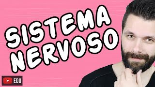 SISTEMA NERVOSO  FISIOLOGIA  Aula  Biologia com Samuel Cunha [upl. by Gaul849]