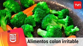 12 alimentos prohibidos para el colon irritable o la colitis abdomen hinchado y el exceso de gases [upl. by Kraul776]