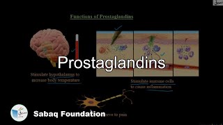 Prostaglandins Biology Lecture  Sabaqpk [upl. by Pontus]