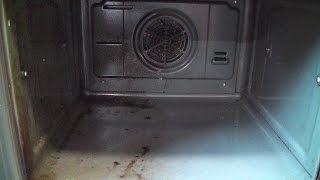 DIY Homemade Oven Cleaner That Rocks [upl. by Adnoek240]