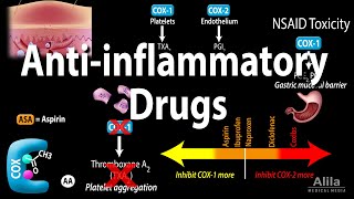 Antiinflammatory NSAIDs Drugs Pharmacology Animation [upl. by Floria]