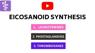 Eicosonoids Synthesis  Leukotrienes Prostaglandins and Thromboxanes [upl. by Suiramaj278]