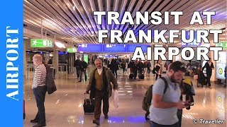 TRANSIT WALK AT FRANKFURT Airport FRA Terminal 1  Connection Flight Transfer Arriving amp Departing [upl. by Sialac]